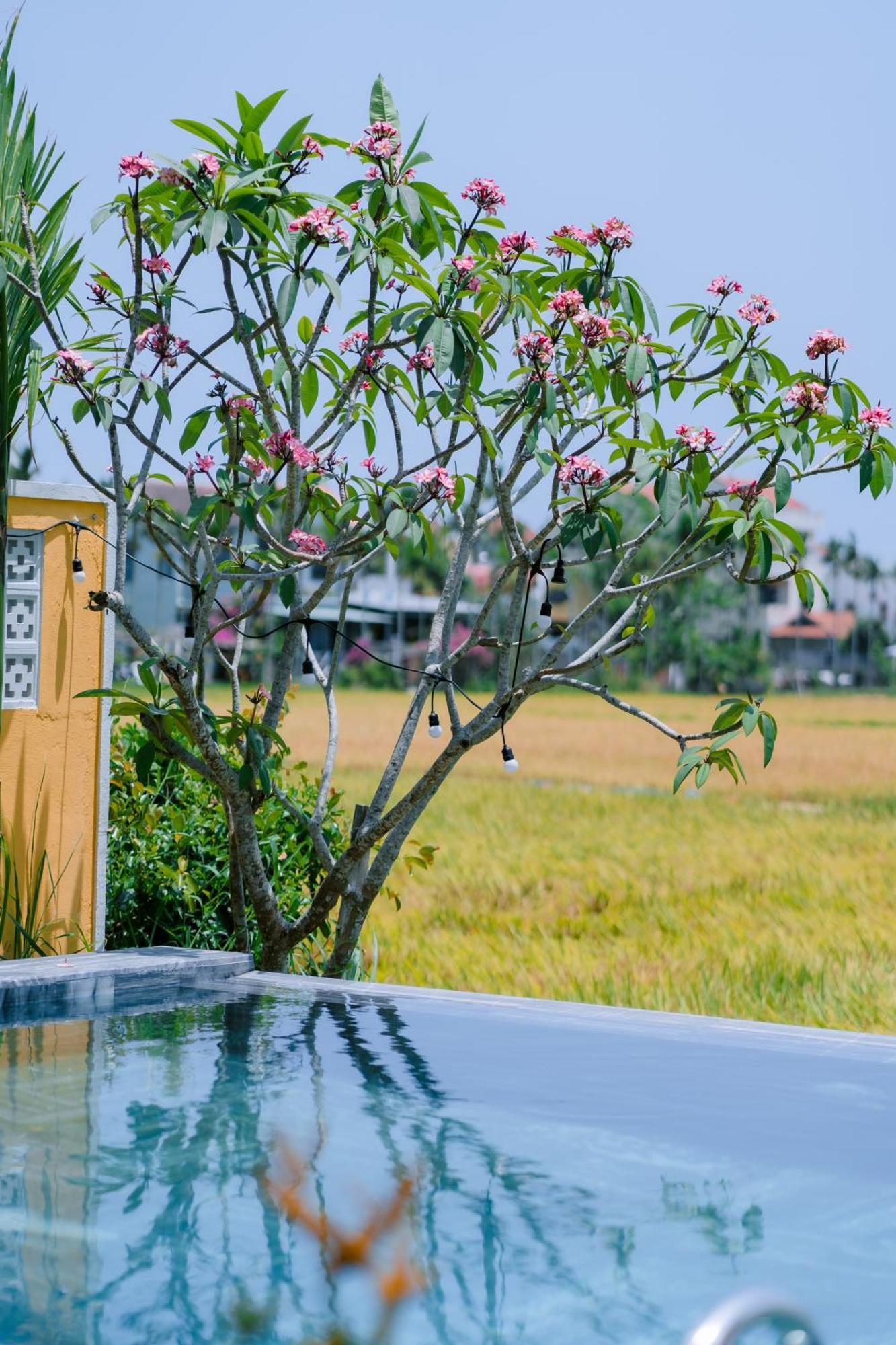 Bs Jade Home Hội An Kültér fotó