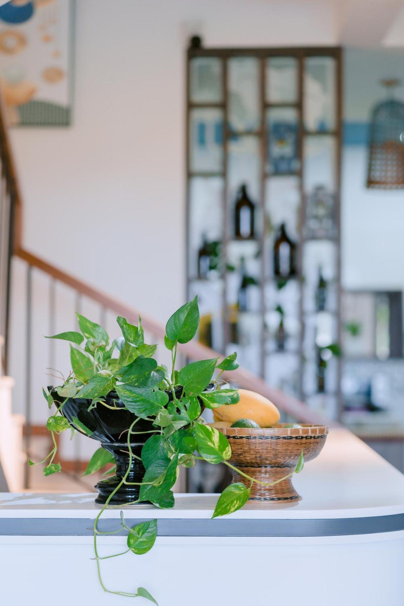 Bs Jade Home Hội An Kültér fotó